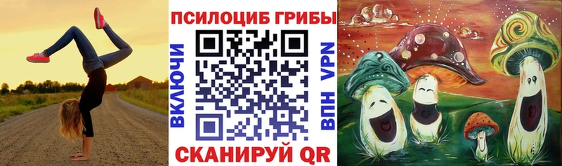 Галлюциногенные грибы GOLDEN TEACHER Барабинск